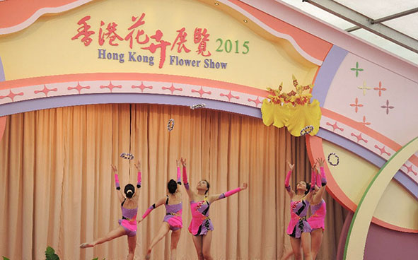 藝術體操表演 – 香港藝術體操協會