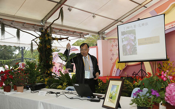 Beautiful Petaloid Plants - Mr NG Kwok-fu, Wilson (Institute of Horticulture (Hong Kong))