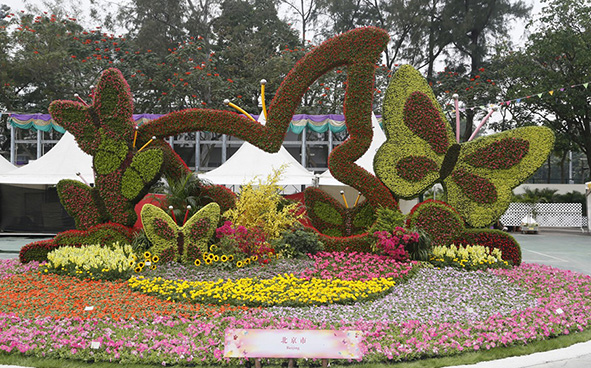 北京市公園管理中心 - 飛舞的鏤空彩蝶