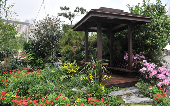 Yuen Long District - Dancing with the Flowers to the Sounds of Spring