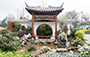 Kwai Tsing District - Blossoms Dancing by a Waterside Pavilion