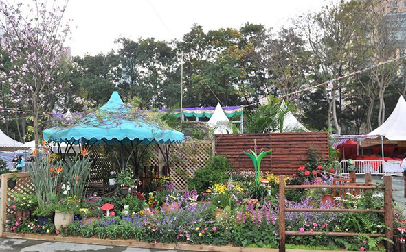 Sha Tin District -  Spring Dance in the Garden