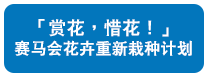 「赏花，惜花！」赛马会花卉重新栽种计划