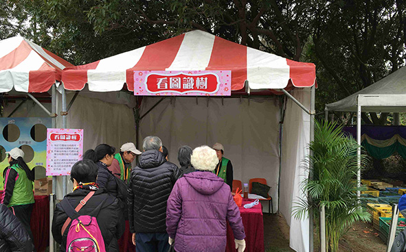 Green Promotional Games Stalls