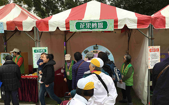 Green Promotional Games Stalls