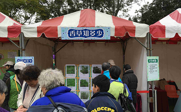 Green Promotional Games Stalls