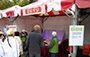 Green Promotional Games Stalls