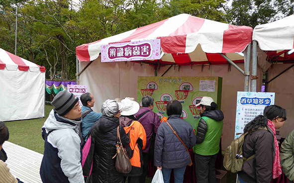 Green Promotional Games Stalls