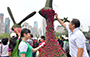 Jockey Club Mosaiculture Display by Students