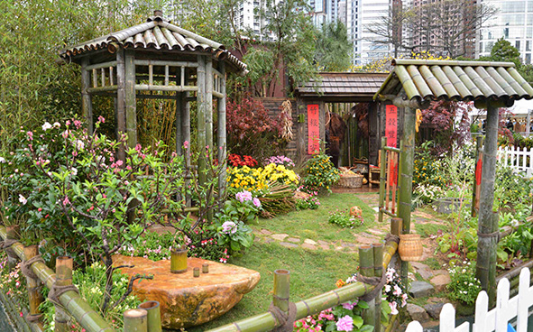 Kwun Tong District - Life amidst a Bamboo Grove