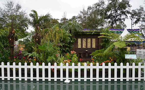 Kwai Tsing District - A Floral Thai Beauty