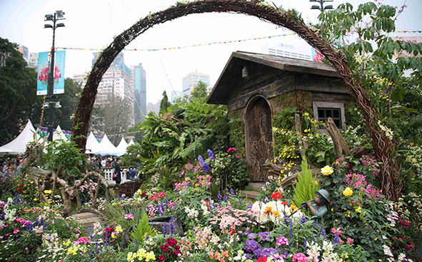 Tuen Mun District - To See a World in a Basket