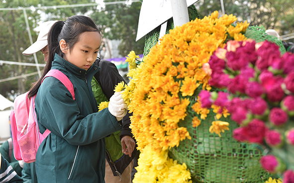 賽馬會學童鑲嵌花壇 活動花絮