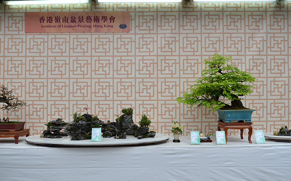 Institute of Lingnan Penjing, Hong Kong