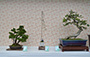 Sha Tin Bonsai Association