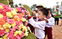 賽馬會學童鑲嵌花壇 活動花絮