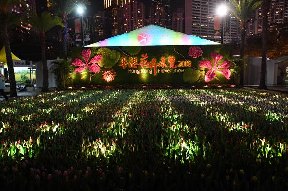 香港花卉展覽立體花牆