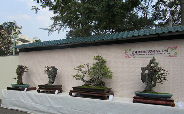 Hong Kong Penjing & Artstone Society Co., Ltd.