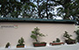 Institute of Lingnan Penjing, Hong Kong