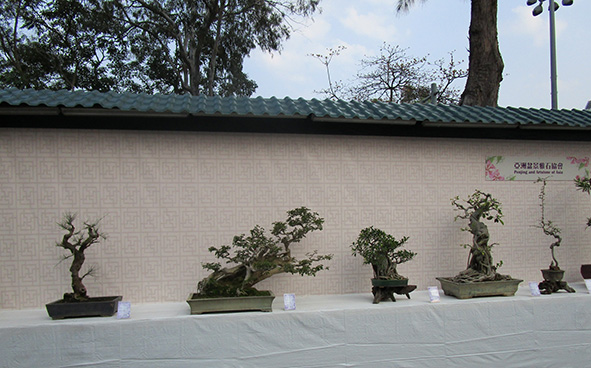 Penjing and Artstone of Asia