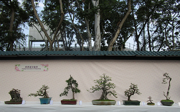 Penjing Association of Hong Kong