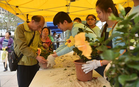 Green Recycling Day