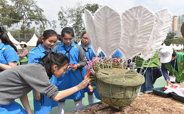 Jockey Club Mosaiculture Display by Students