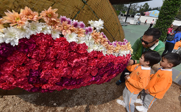 赛马会学童镶嵌花坛 活动花絮