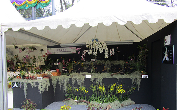 Hong Kong Artistic Orchid Association