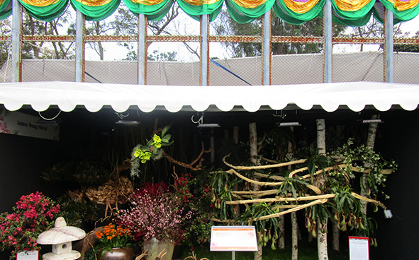 James Wong Florist