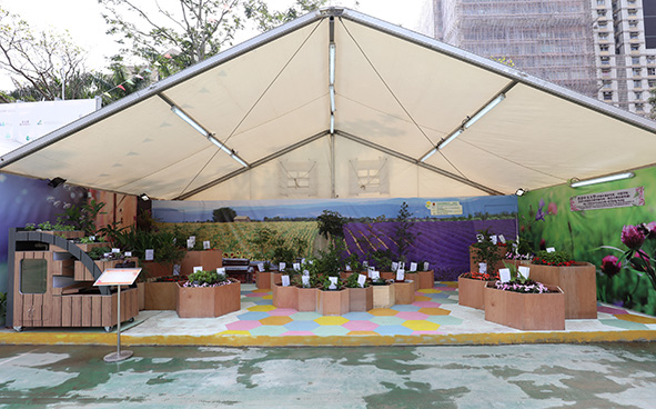 The Chinese University of Hong Kong (Institute of Chinese Medicine, School of Chinese Medicine, Hong Kong Institute of Integrative Medicine, Landscaping Section of Estates Management Office)