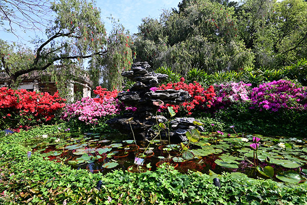 治癒花園 