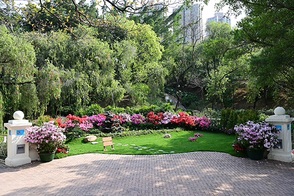 治癒花園