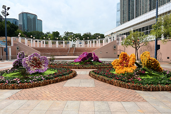 主题花(杜鹃花)花圃