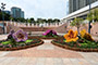 Theme Flower (rhododendron) Display