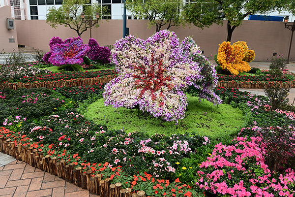 主题花(杜鹃花)花圃