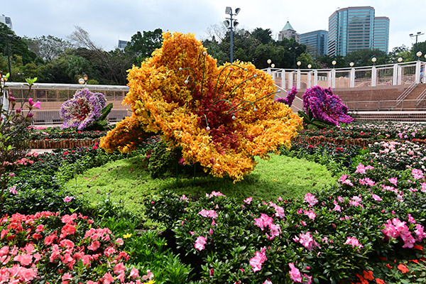 Theme Flower (rhododendron) Display