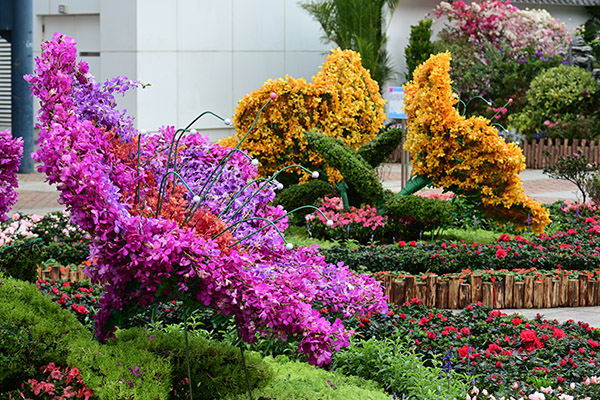 主题花(杜鹃花)花圃