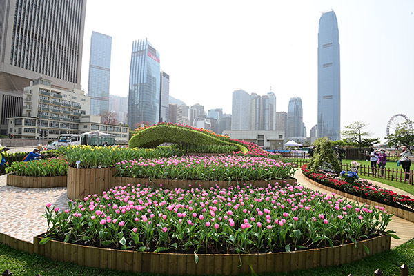 Tulip Display