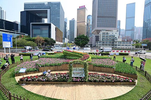 Tulip Display