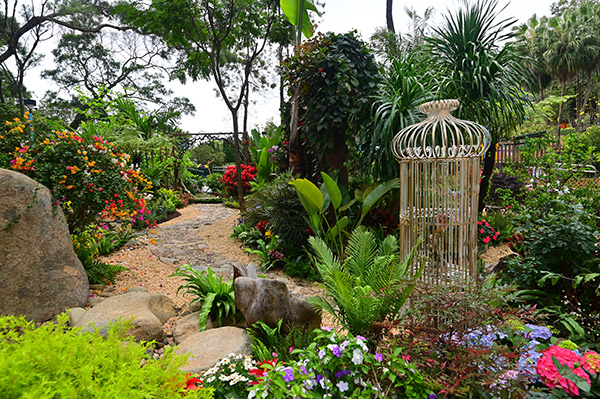 泰式庭院花圃 