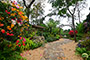 泰式庭院花圃  
