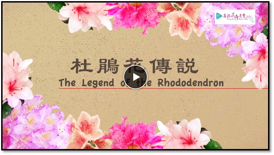 The Legend of  the  Rhododendron