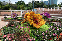 Theme Flower (Rhododendron) Display - Kowloon Park 