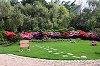 Healing Garden