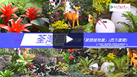 精灵花园「蕨类植物园」