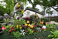 精靈花園「蕨類植物園」