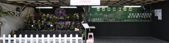 Hong Kong Artistic Orchid Association