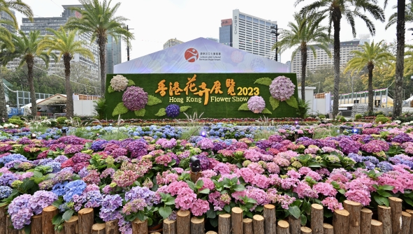 香港花卉展覽立體花牆