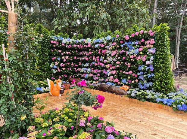 Hydrangea Floral Garden